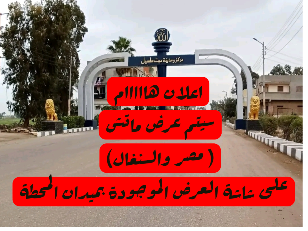 ماتش مصر و السنغال