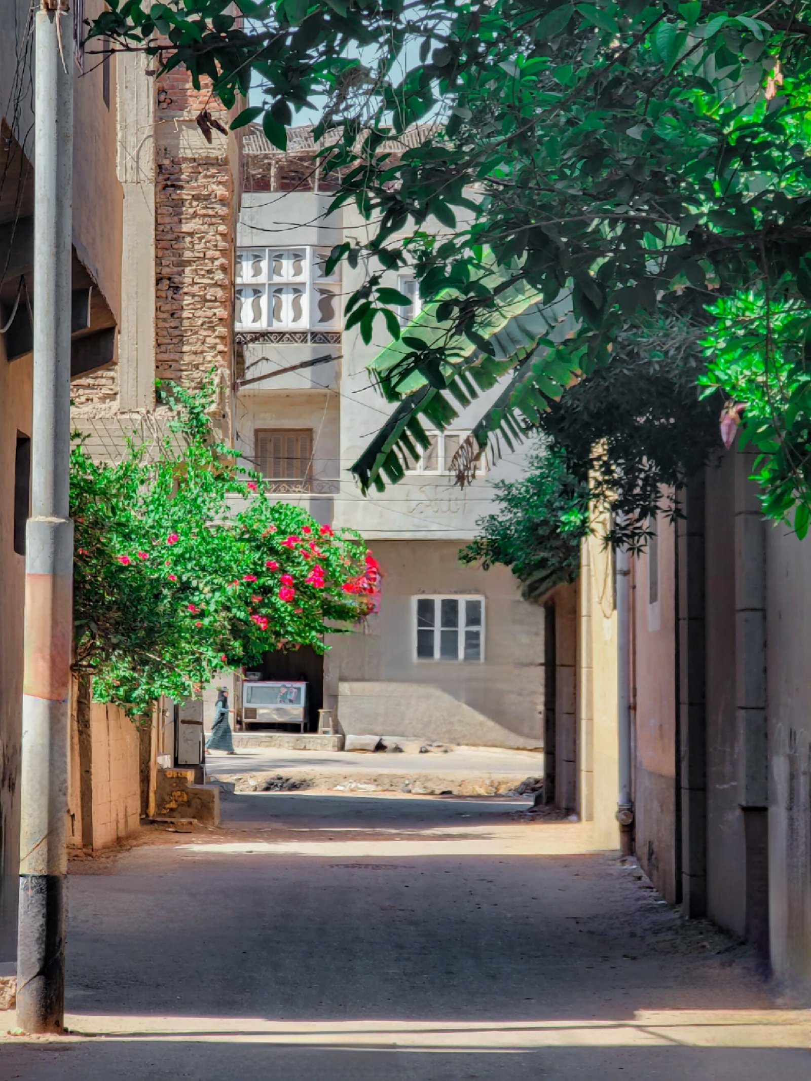 احد شوارع حي البساتين