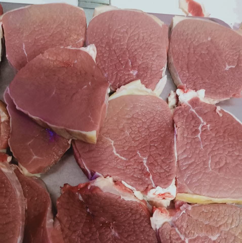 وليد العالم